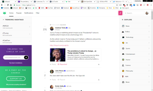screenshot of concept frontpage of gab
