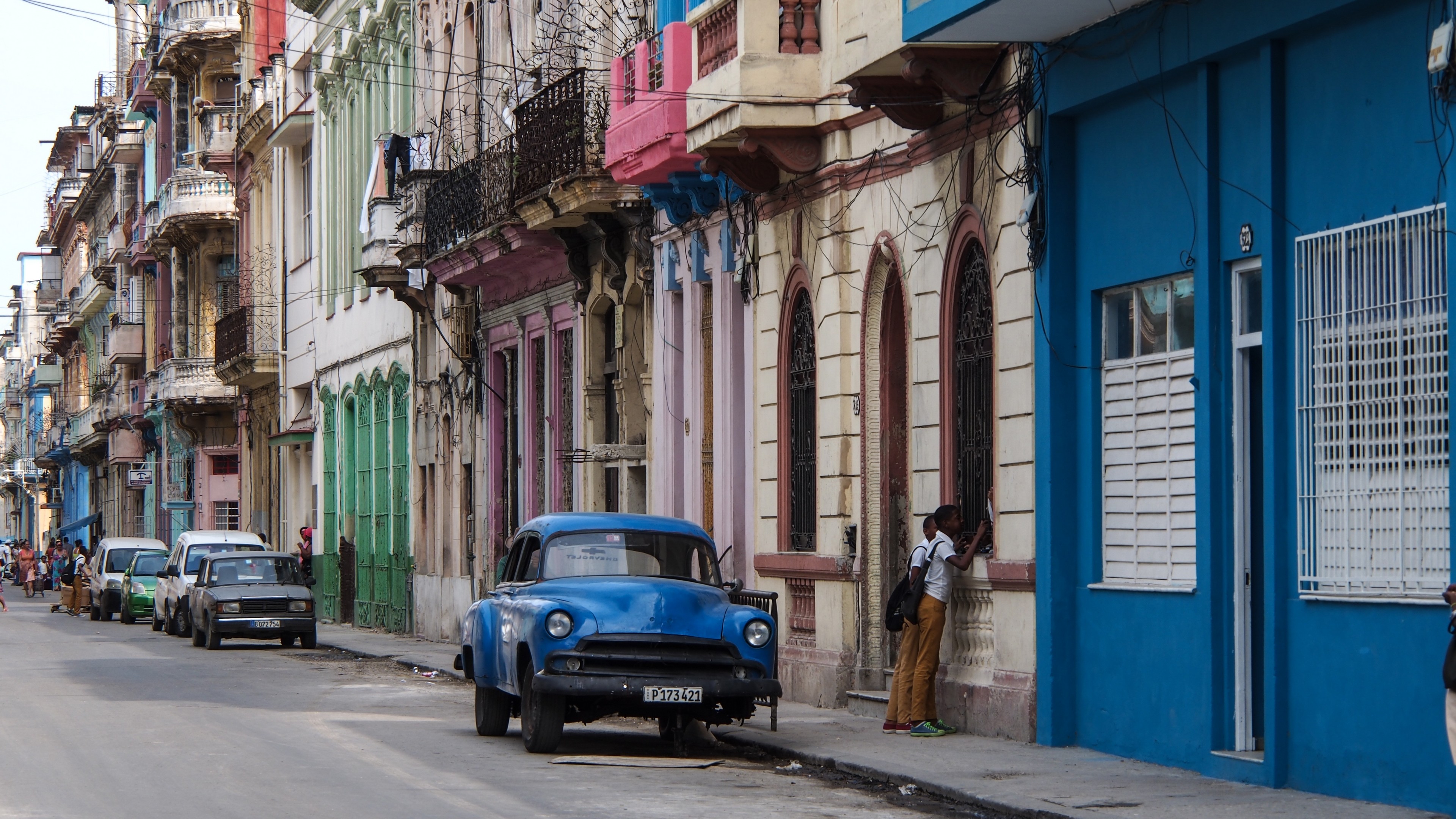 Havana Ginder