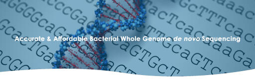 Bacterial Whole Genome de novo Sequencing