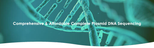 Complete Plasmid DNA Sequencing