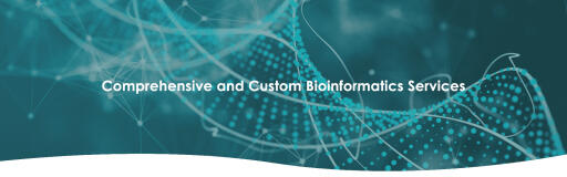Bioinformatics Services