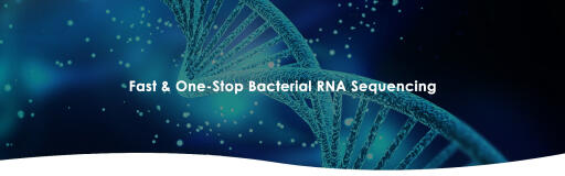 Bacterial RNA Sequencing