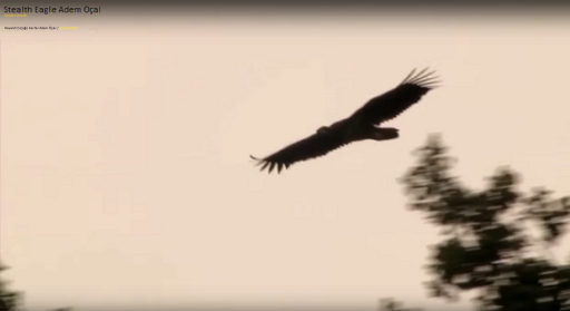 Stealth Eagle Adem Öçal