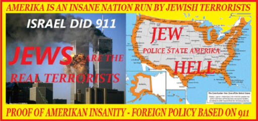 amerika is an insane nation run by jewish terrorists