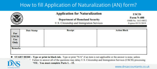 how to fill application of naturalization an form