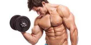 Increases the muscle growth hormone in the body