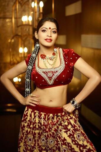 Beautiful girl in Saree Indian dress (5)