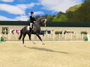 DiscoveryDressage9