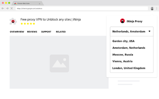 iNinja VPN is Proxy, VPN to Unblock any sites - Chrome Web Store
