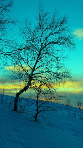 Ultra HD 4K march winter snow frost nature cold evening february sky blue 62006 2160x3840 LG Samsung