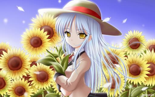 Anime girl in sunflower field 5120x3200