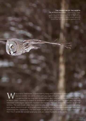 Wildlife Photographic Issue 23, March April 2017 (4)