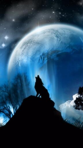 High Definition Wolves moonlight wolf fantasy 1080x1920 Awesome Smartphone Wallpaper