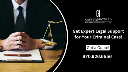Hire a Professional Defense Attorney for Your Needs