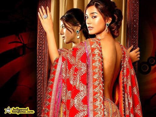 Beautiful girl in Saree Indian dress (9)