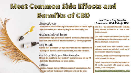 Most Common Side Effects and Benefits of CBD
