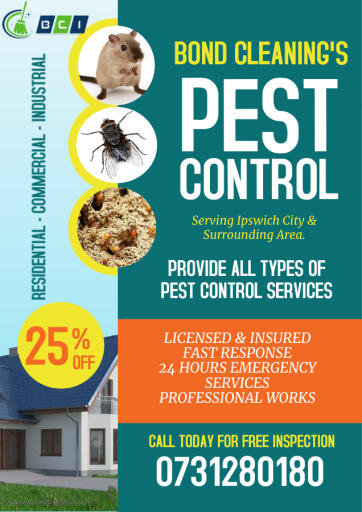 Copy of Pest Control Flyer Made with PosterMyWall