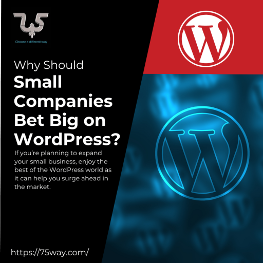 Why Should Small Companies Bet Big on WordPress