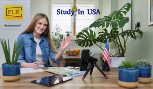 Frame Learning: Best Study Abroad Program in USA