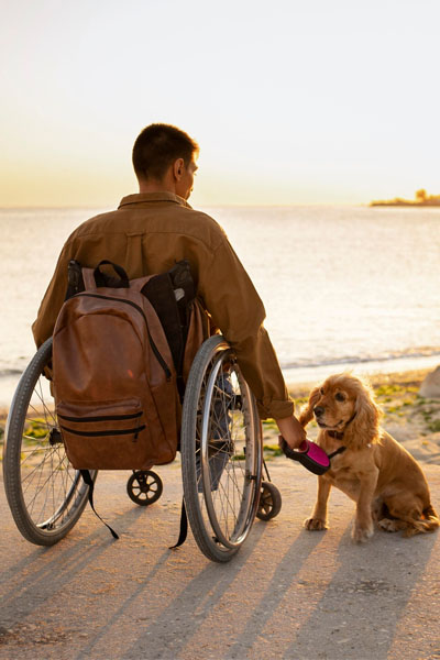 Disabled by owner