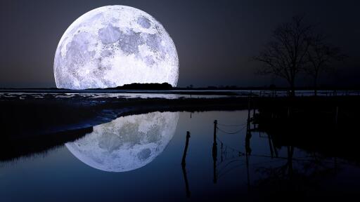 Lovely moonlight shining at night view with a full moon 3840x2160 UHD 4K Wallpaper