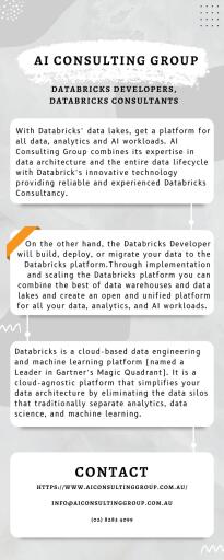 Databricks Developers and Consultants service