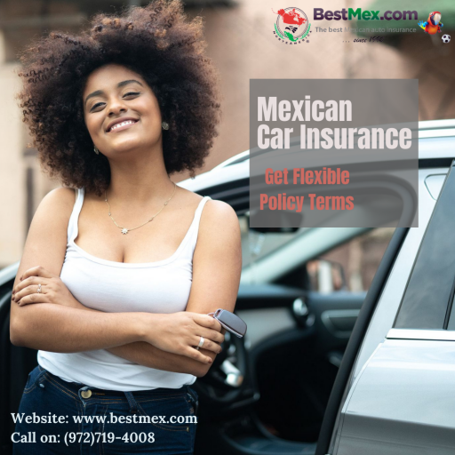 BestMex.com | Mexican Car Insurance | Print your insurance with BestMex