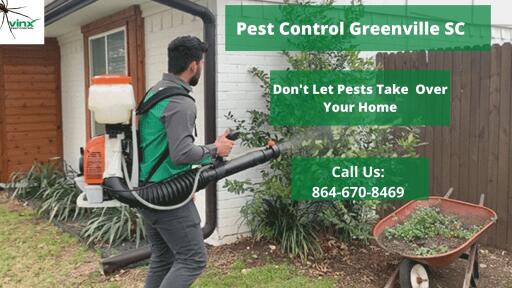 Pest Control Greenville SC -Vinx Pest Control