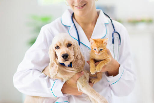 Better Animal Clinic for your Pet