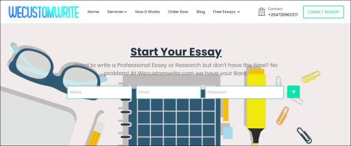 Professional Essay Writing Services IN USA