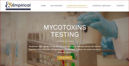 Mycotoxins testing