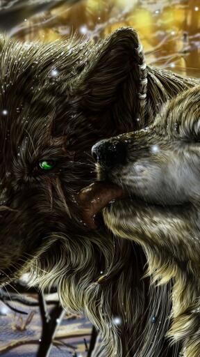 High Definition Wolves wolves pair tenderness tongue love snow 1080x1920 Awesome Smartphone Wallpape