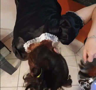 bdsmlr 10306371 B4YjuodjNq