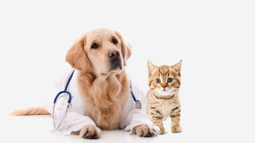 Committed to superior veterinary hospital