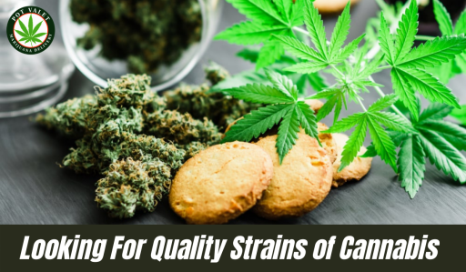 Looking For Quality Strains of Cannabis