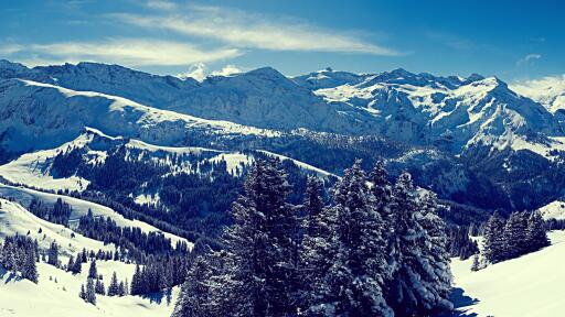 Ultra HD Winter Snow Landscape Mountain Forest 4K Ultra HD Desktop Wallpaper Download 4K computer De