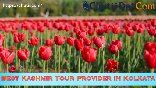 Best Tour Packages for Kashmir Tour from Kolkata: Chutii Dot Com