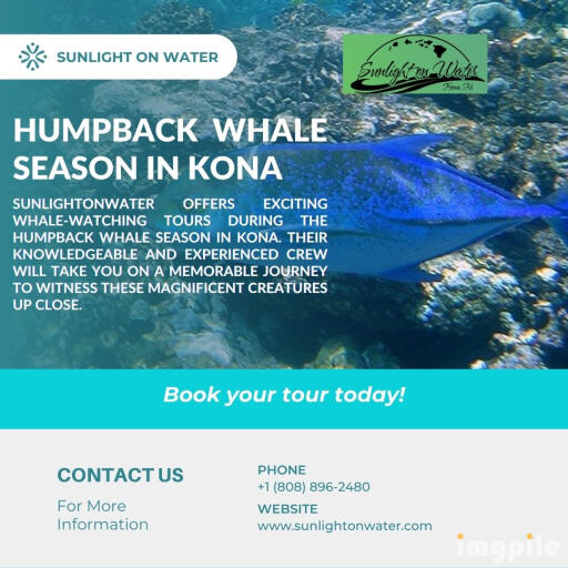 Enjoy Humpback Whale Season in Kona with Sunlightonwater