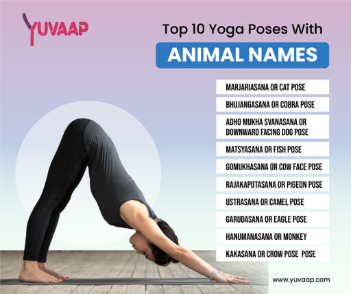 Top 10 Yoga Poses With Animal Names