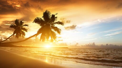 Exotic beach wallpaper cool pictures uhqya452