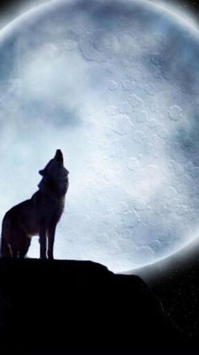High Definition Wolves 2173306 Awesome Smartphone Wallpaper