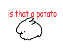 6 20 2023 is that a potato