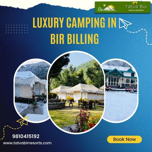 Luxury Camping in Bir Billing |Tatva Bir Resorts