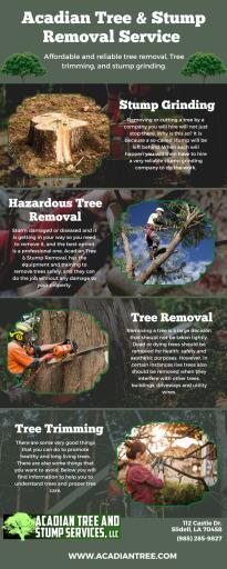 Tree Removal Covington | Acadian Tree and Stump Removal Service