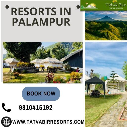 Discover the Best Resorts In Palampur.
