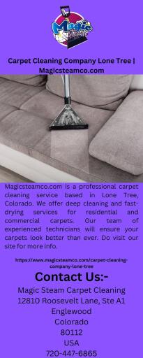 Carpet Cleaning Company Lone Tree | Magicsteamco.com