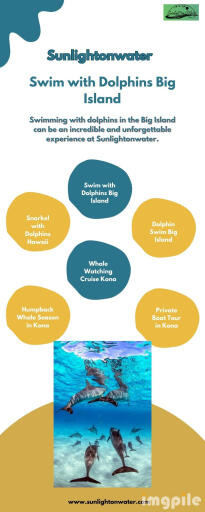 Book Your Swim Trip with Dolphins Big Island