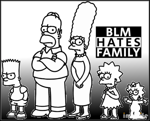BLM HATES FAMILY