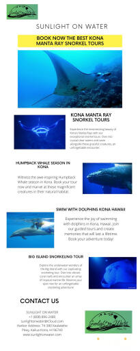 Book Now the Best Kona Manta Ray Snorkel Tours