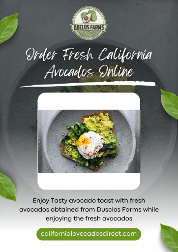 Order Fresh California Avocados Online from Duclos Farms